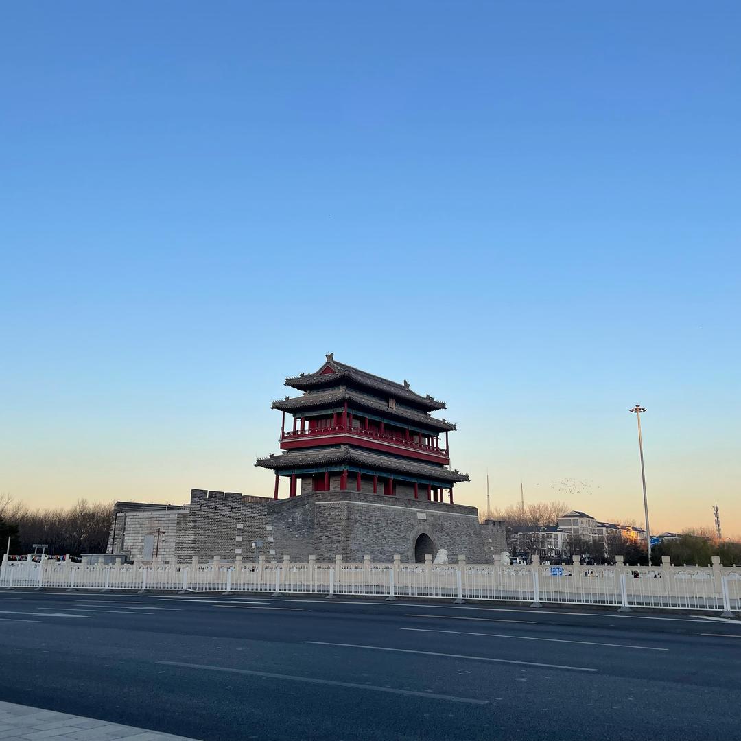 亚洲搬砖的海苔