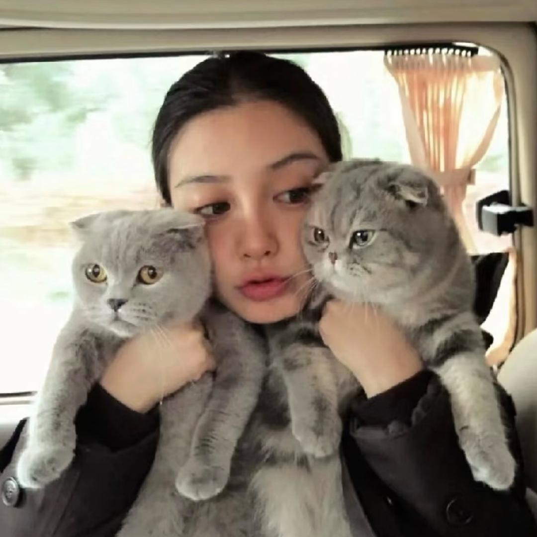 暴暴龙