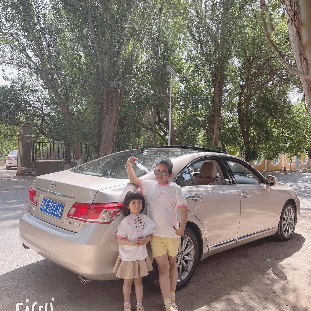 🌴🍇蓝宝石🍇🌴