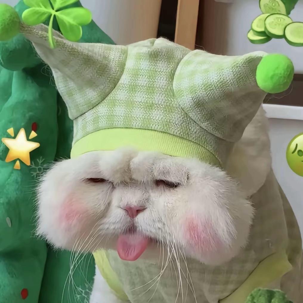 无敌小肥羊