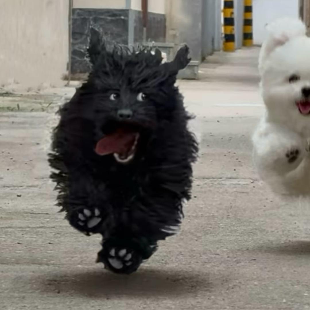 2+1（三角洲行动）