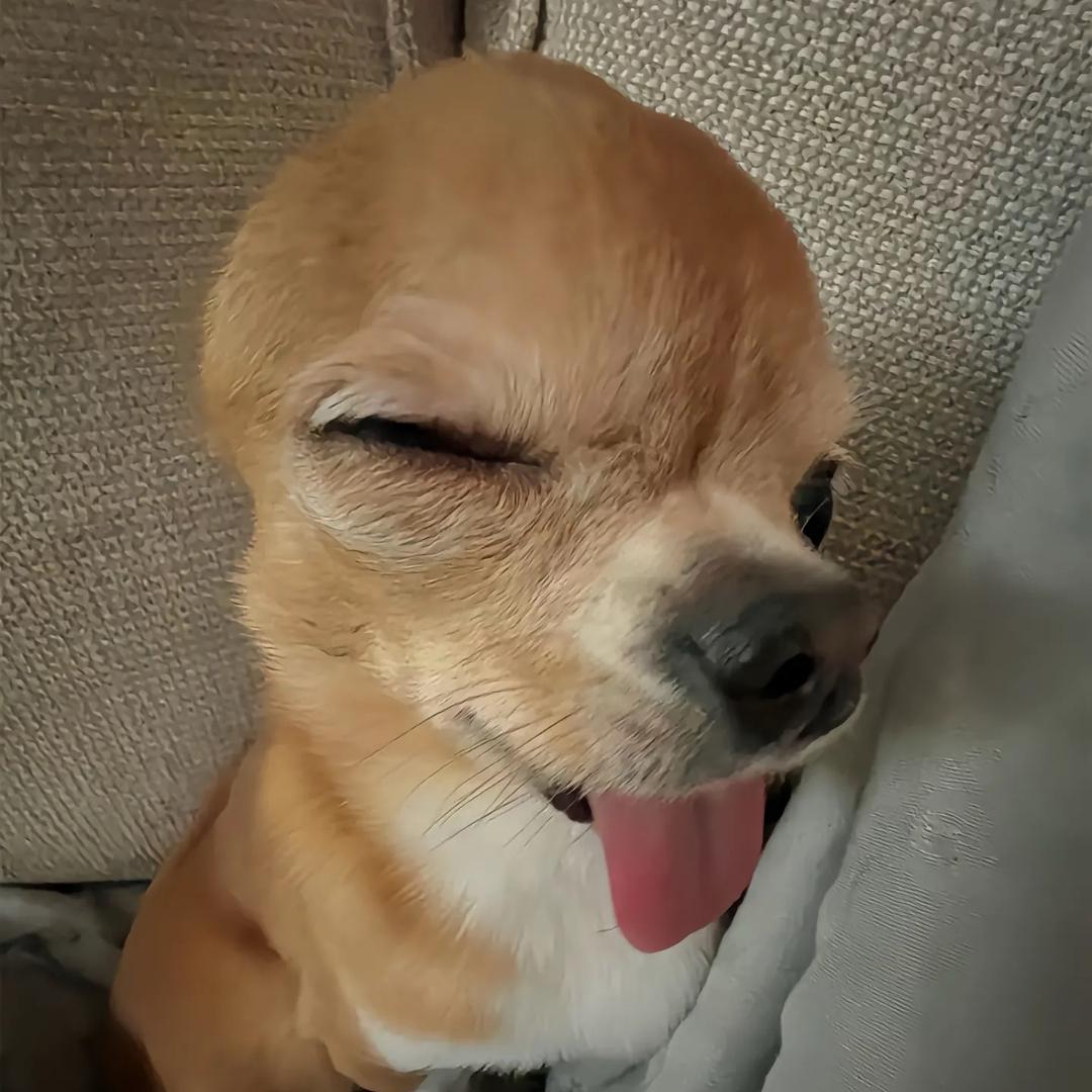记得说晚安