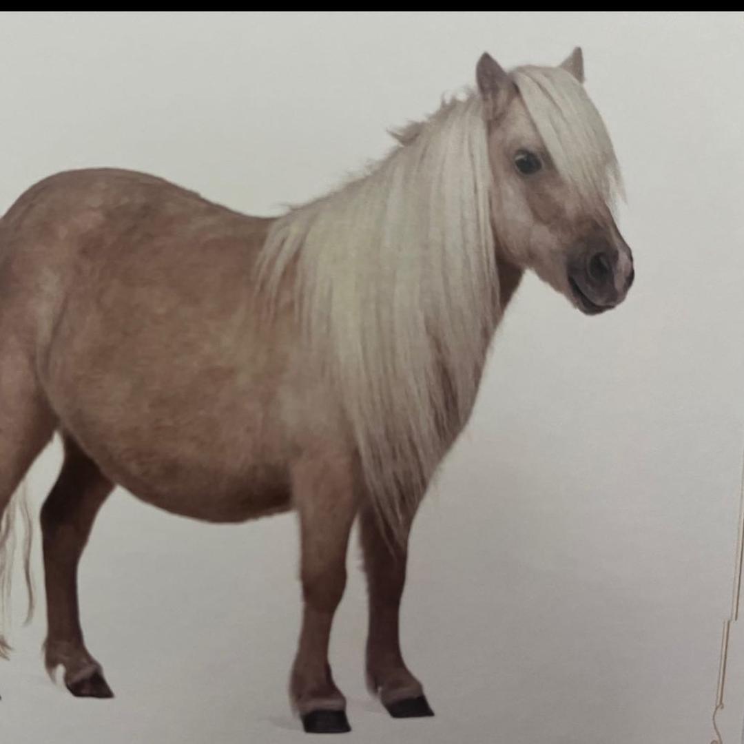 夜之幕剧本社(宿迁水韵城店)