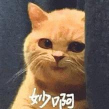 DNF寄风