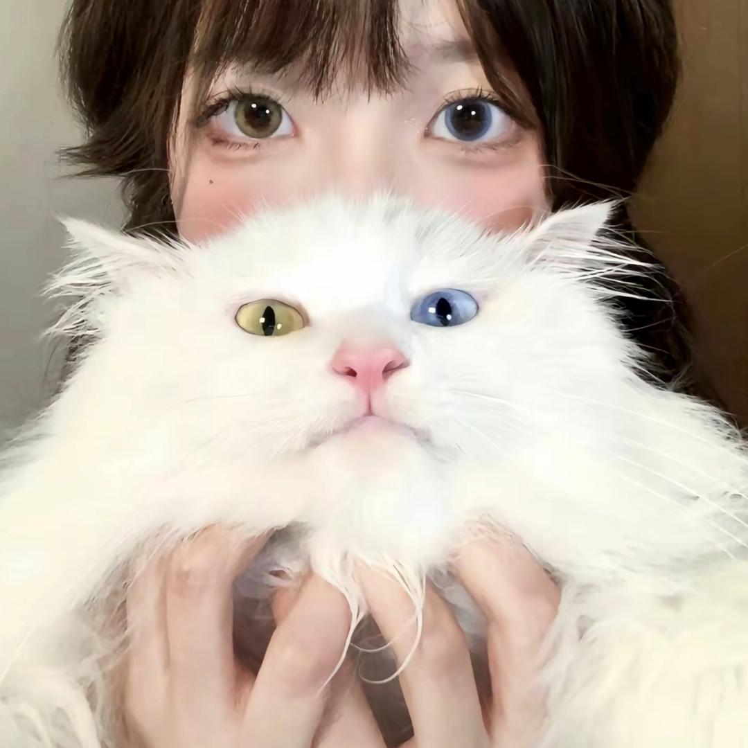 想要发财