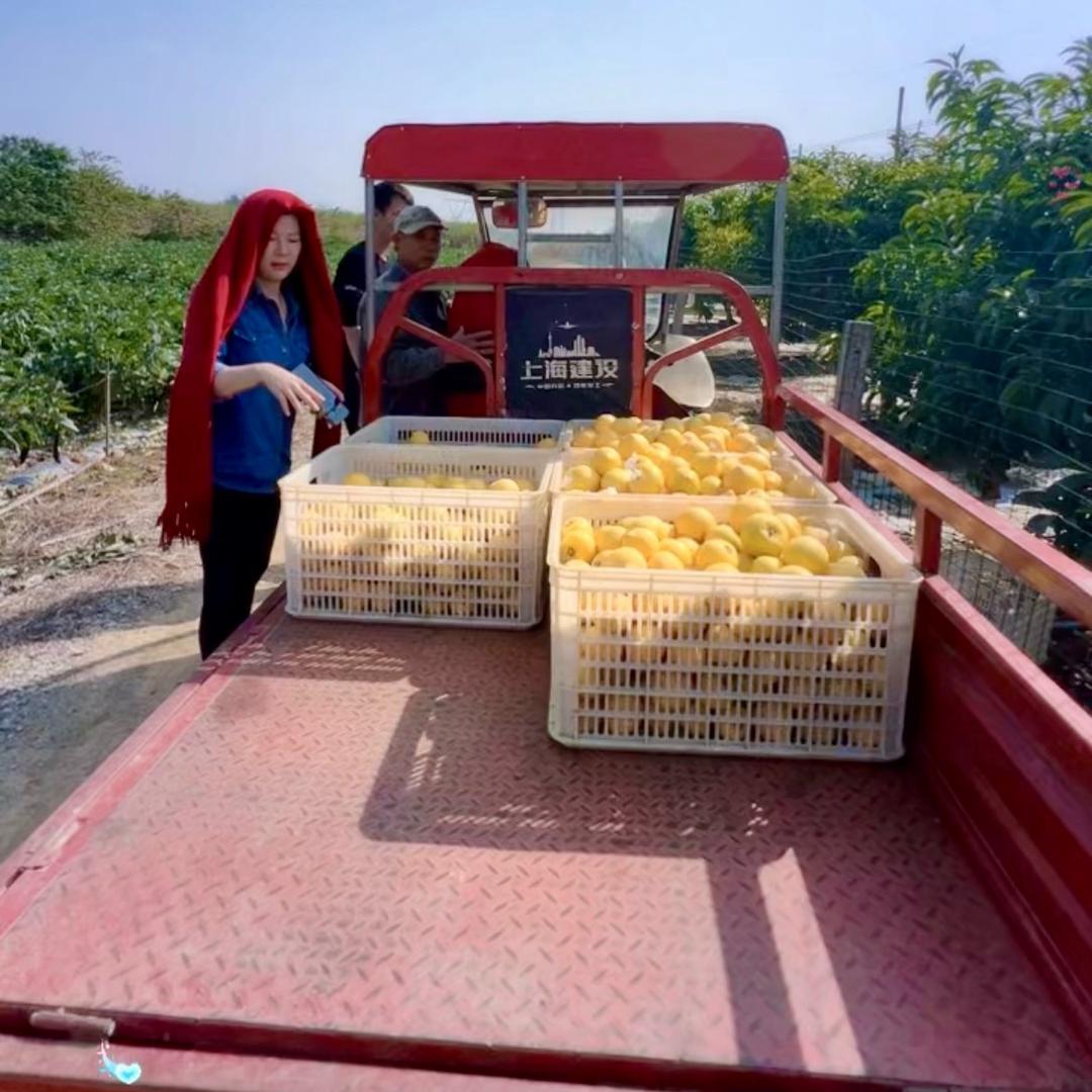 【新农人】尝上一口鲜