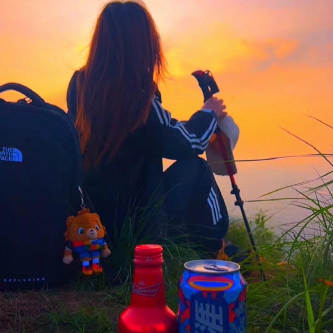 民宿+酒店+专车+导游🫡