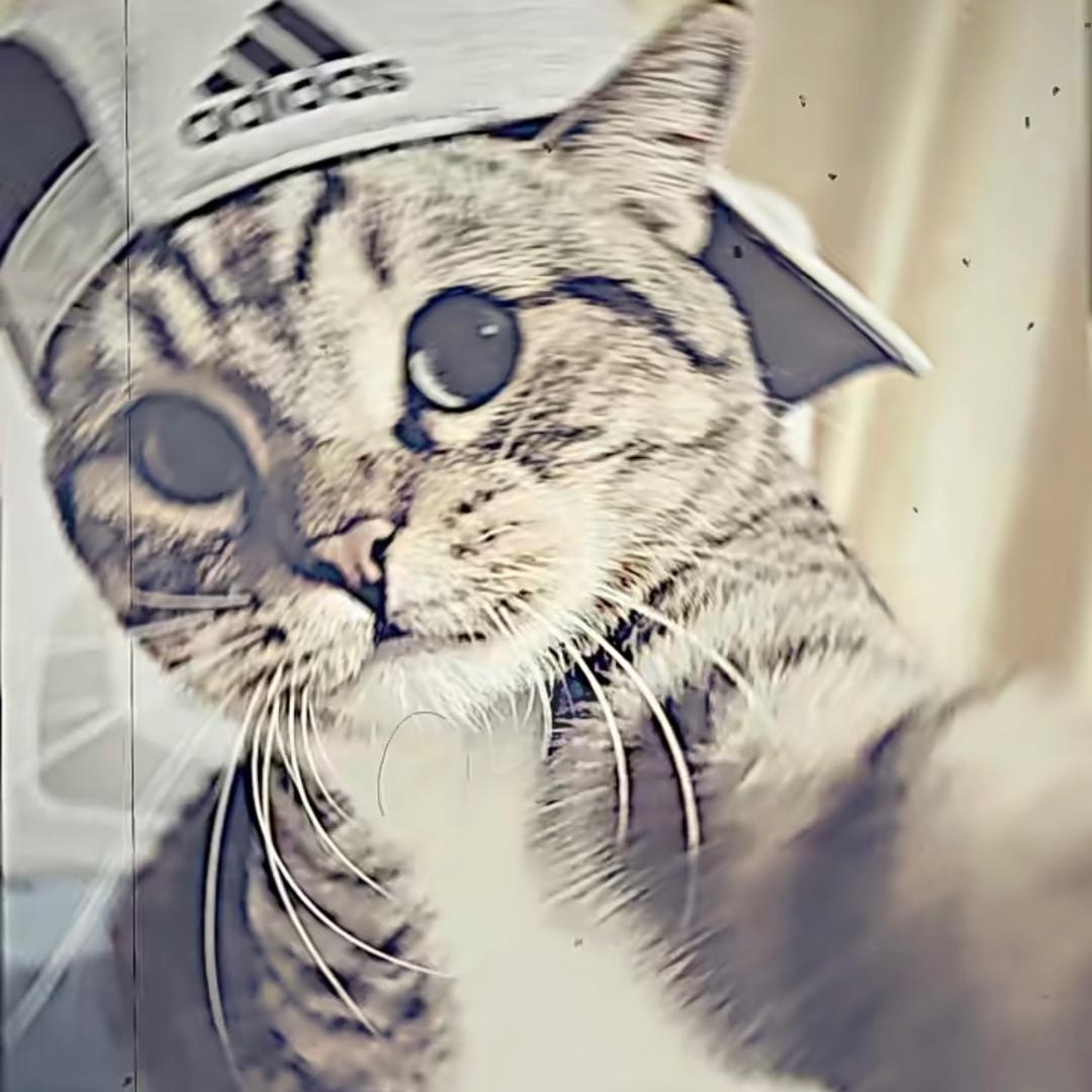 ♾️..头像