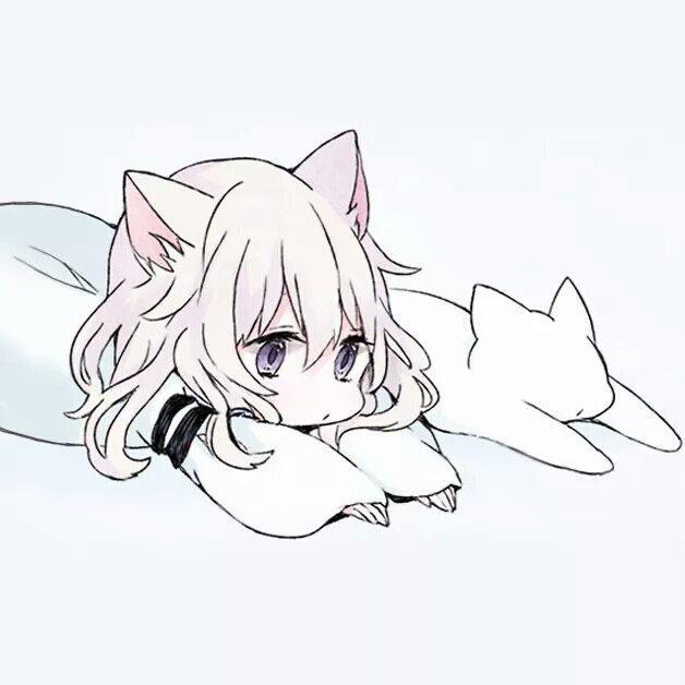 吃不饱的小懒猫