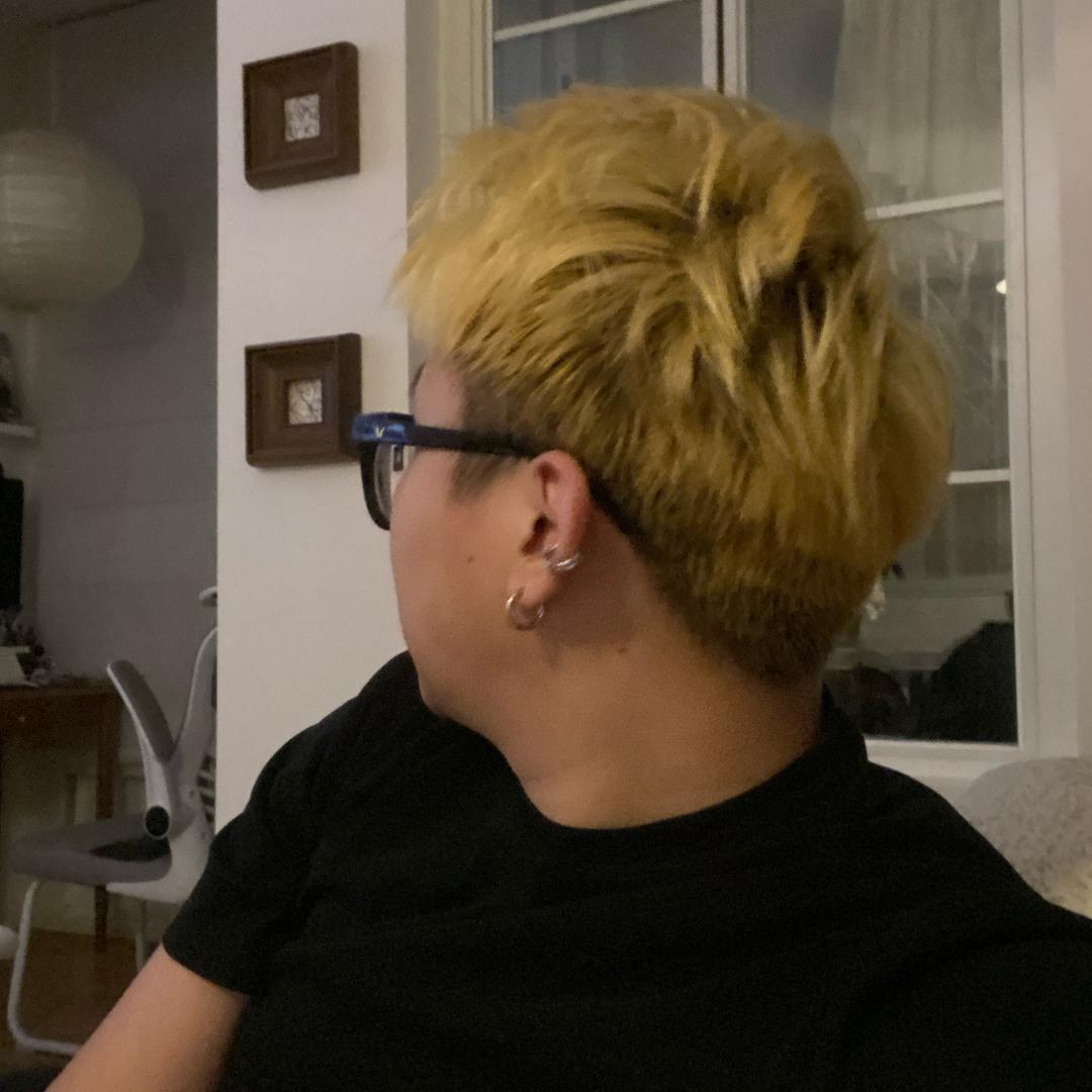 叶帅气🍢广州路边摊烧鸟