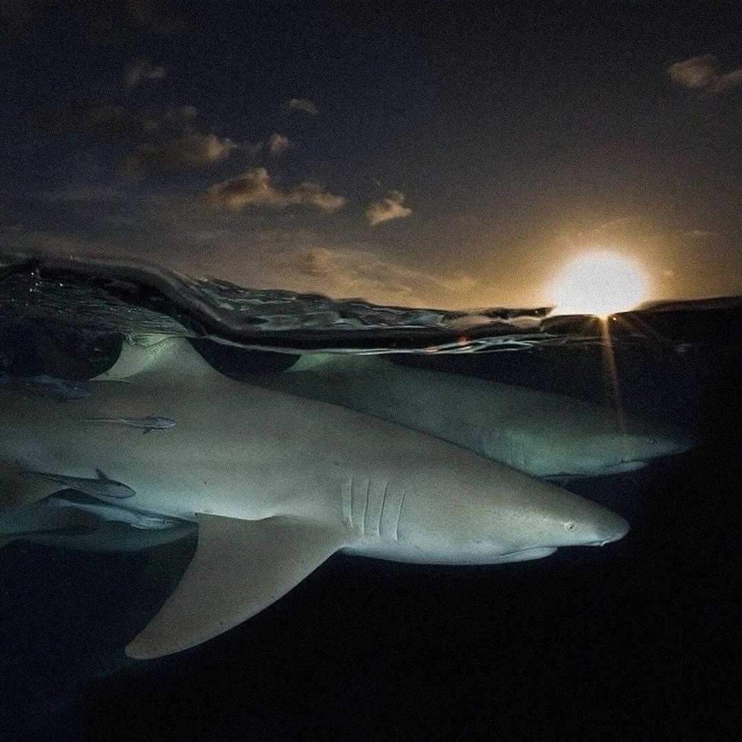 港澳🇭🇰🇲🇴轻奢名品一号仓