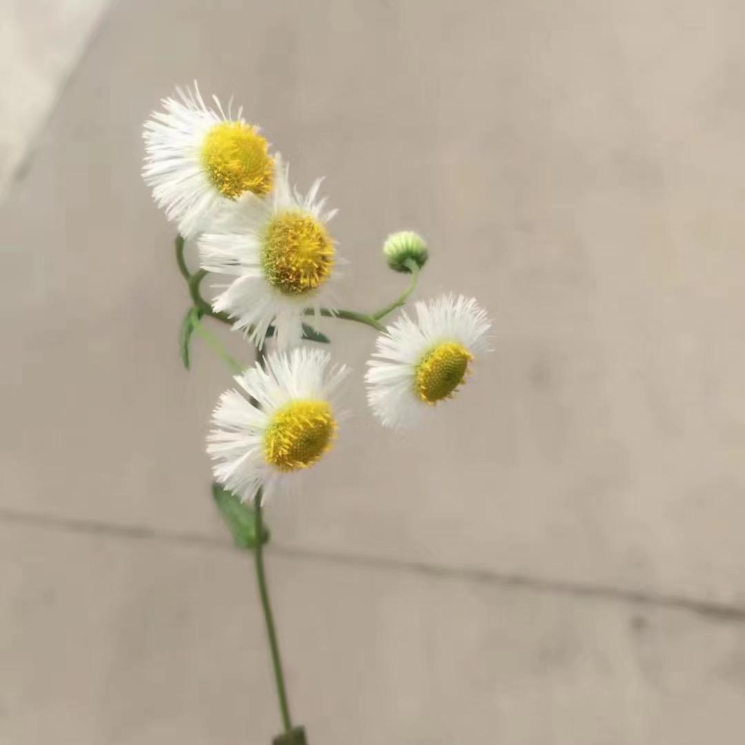 😀😀无语