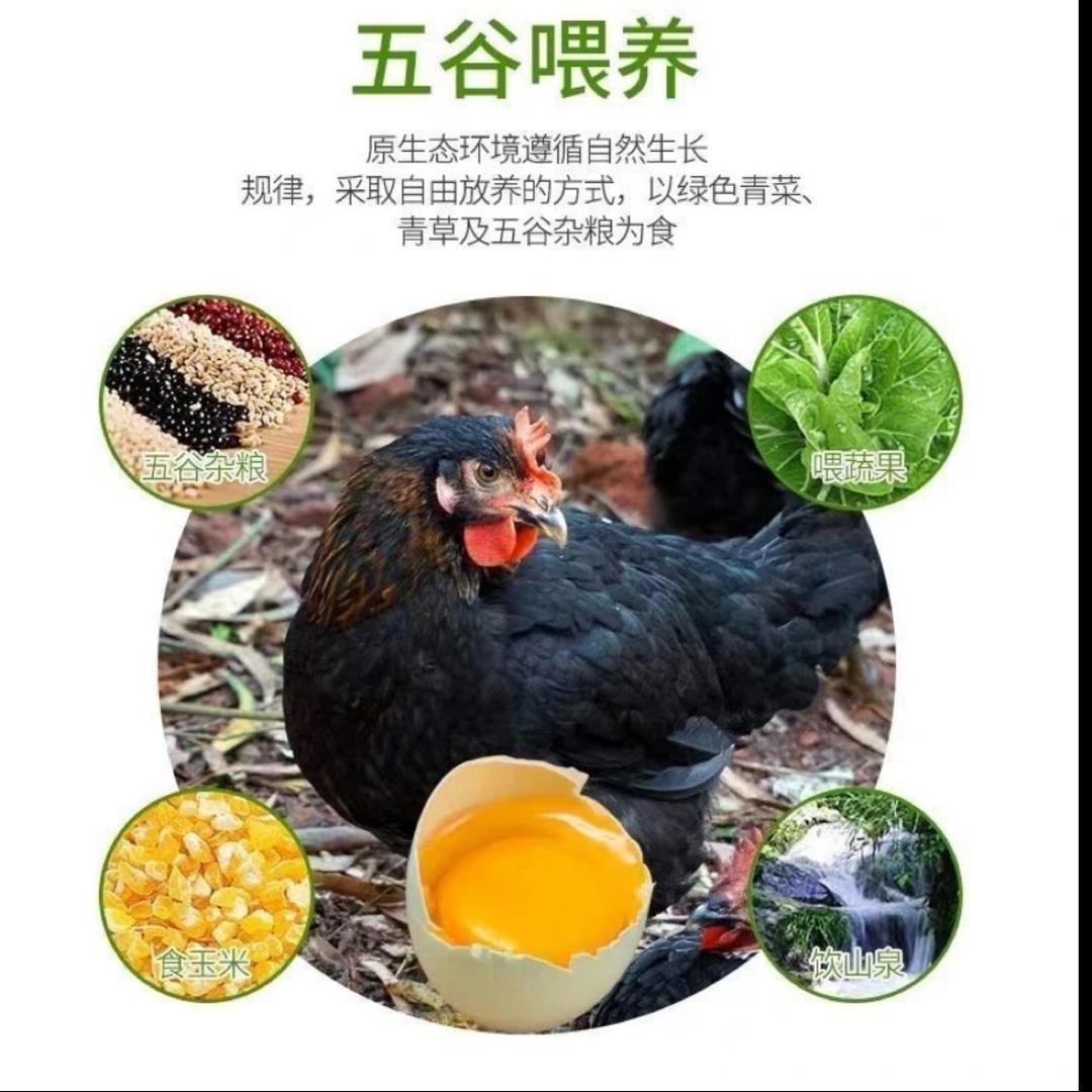 俊红好物优选