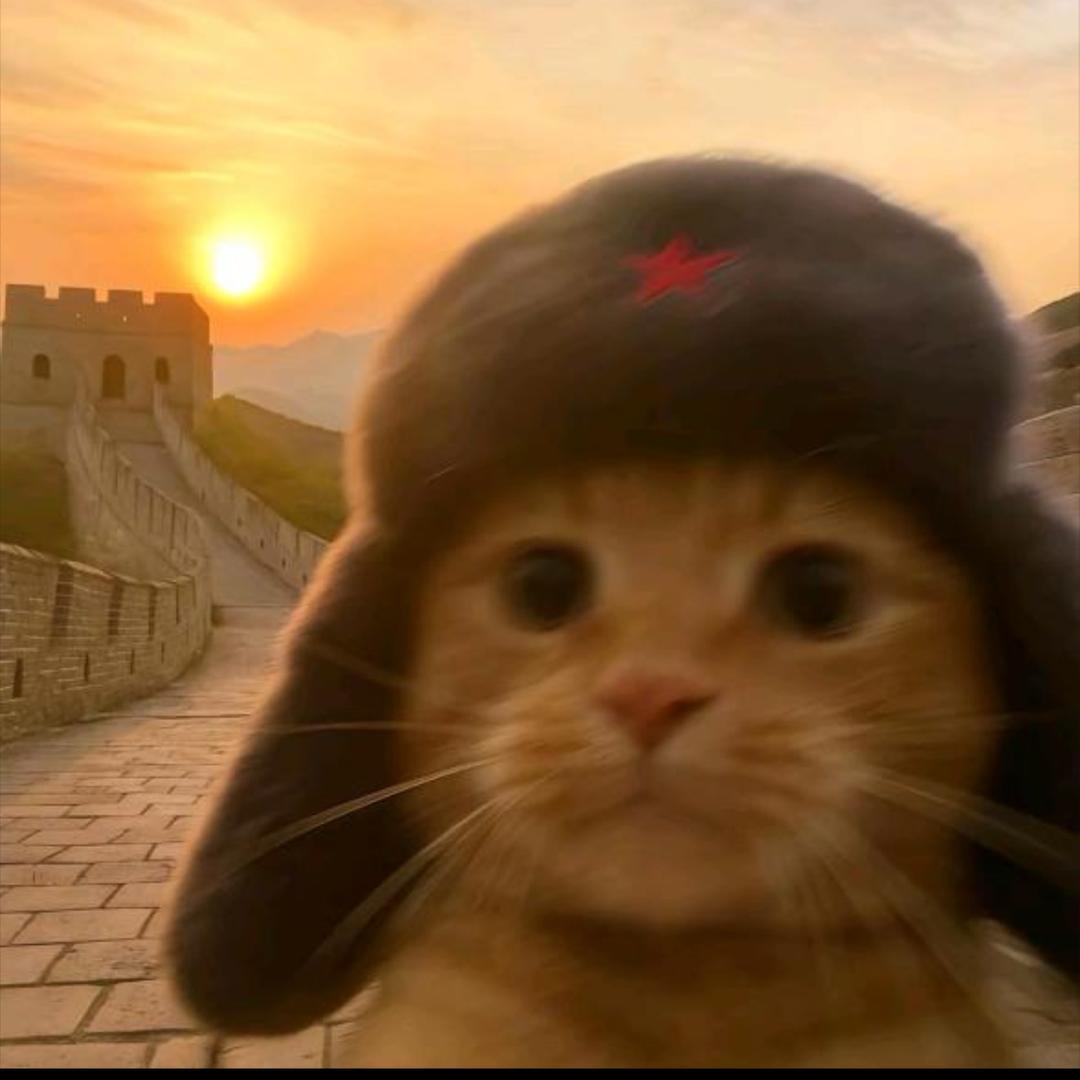 kk拾柒