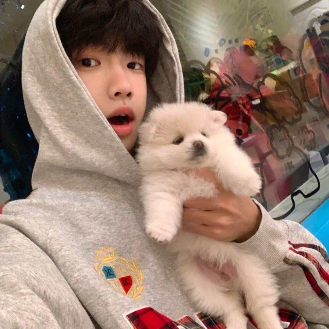 向往顶峰的鲸🐳