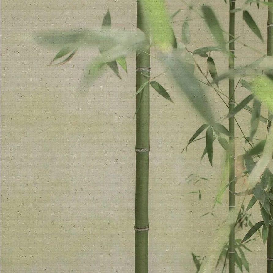 青山不语💚