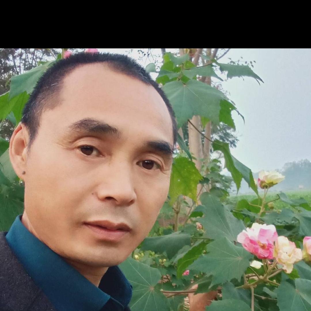 四川小伟哥