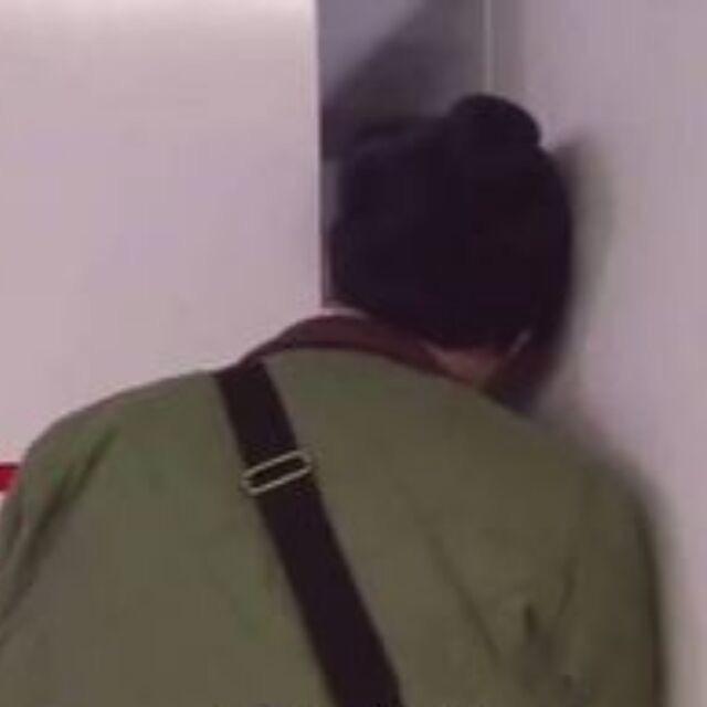 苟苟
