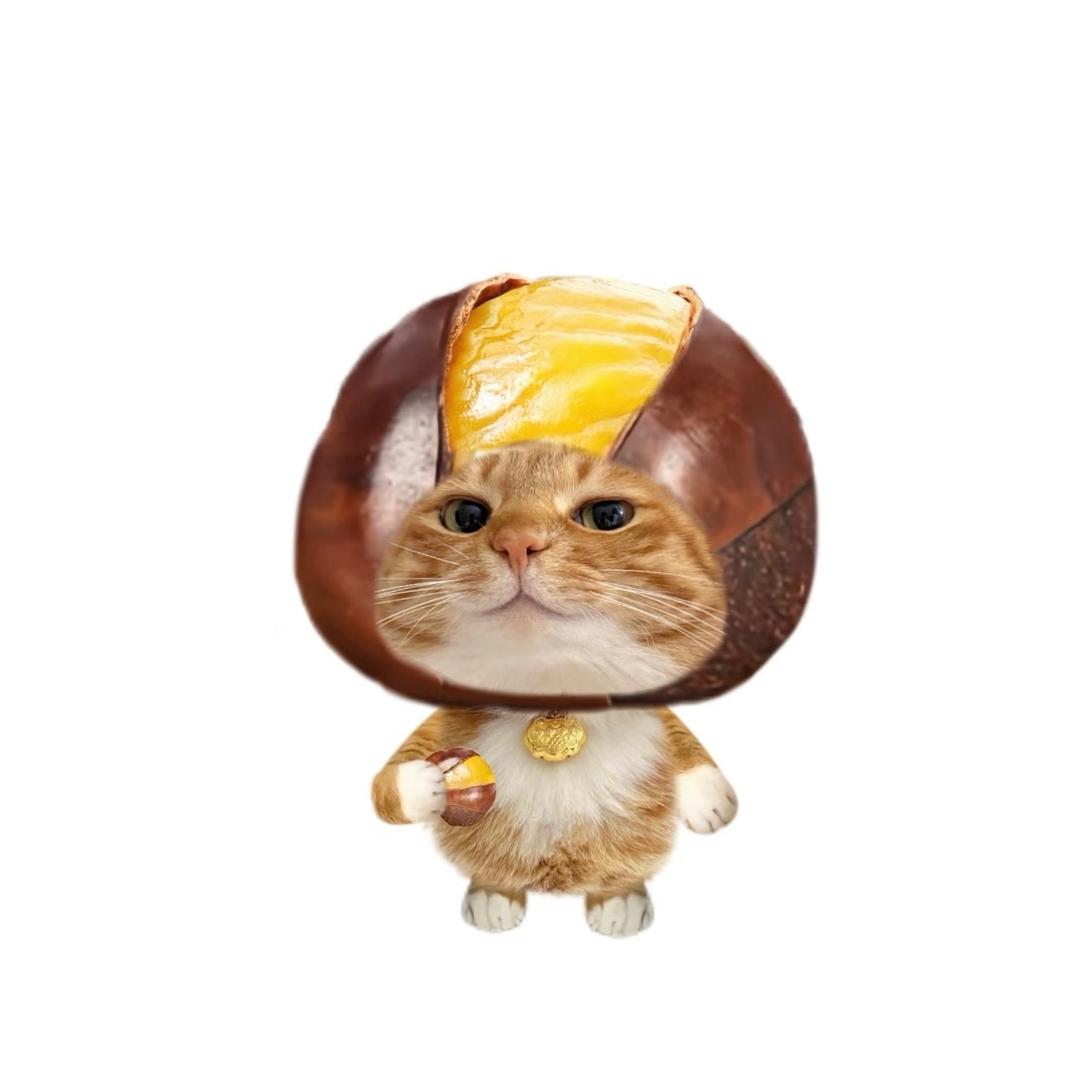 无敌幸运星 （涨粉中）