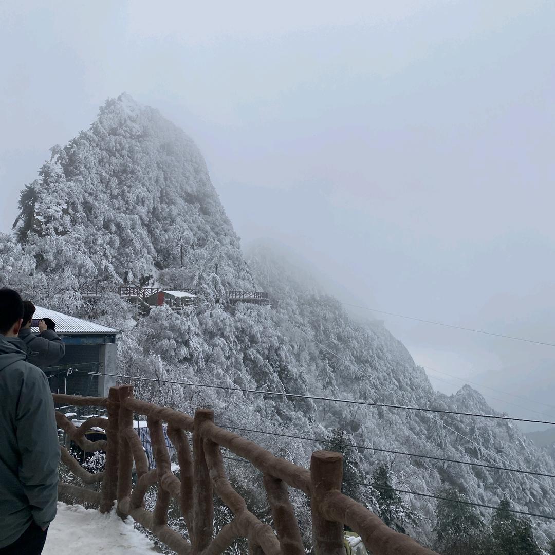 东创通讯@宋帅东