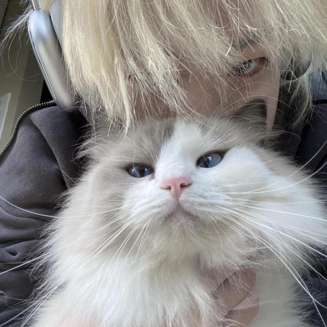 今天的风依旧很大