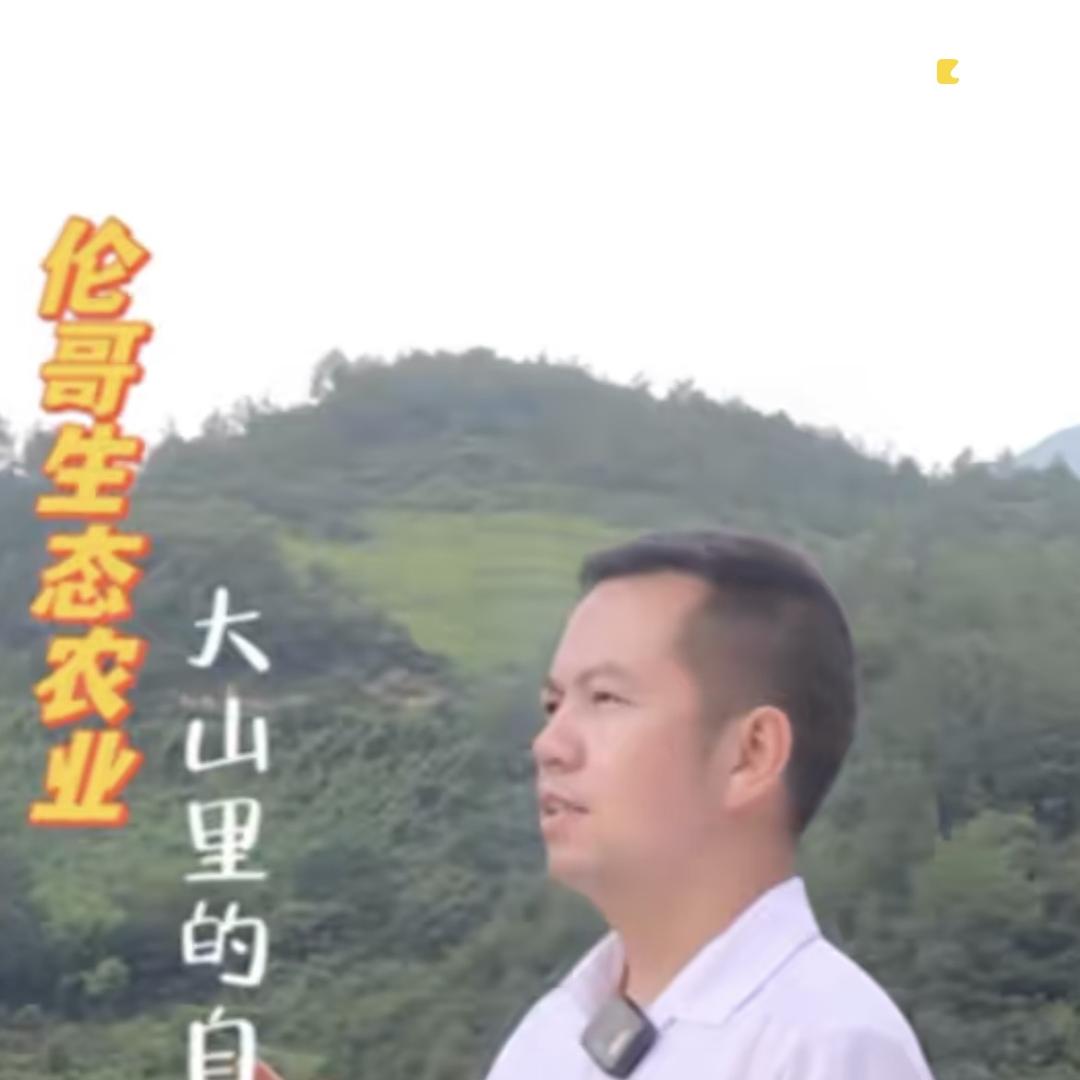 伦哥乡村农业