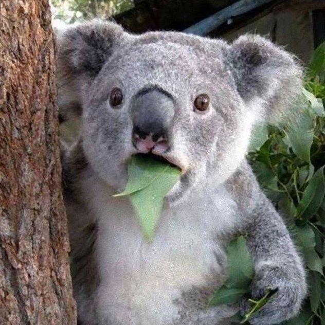 相逢何必曾相识！