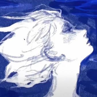 海鸥.
