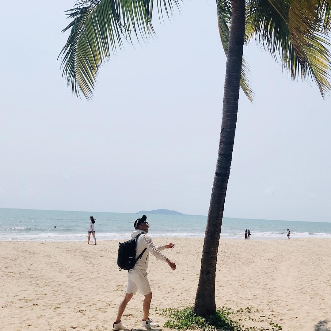 通城文鸽