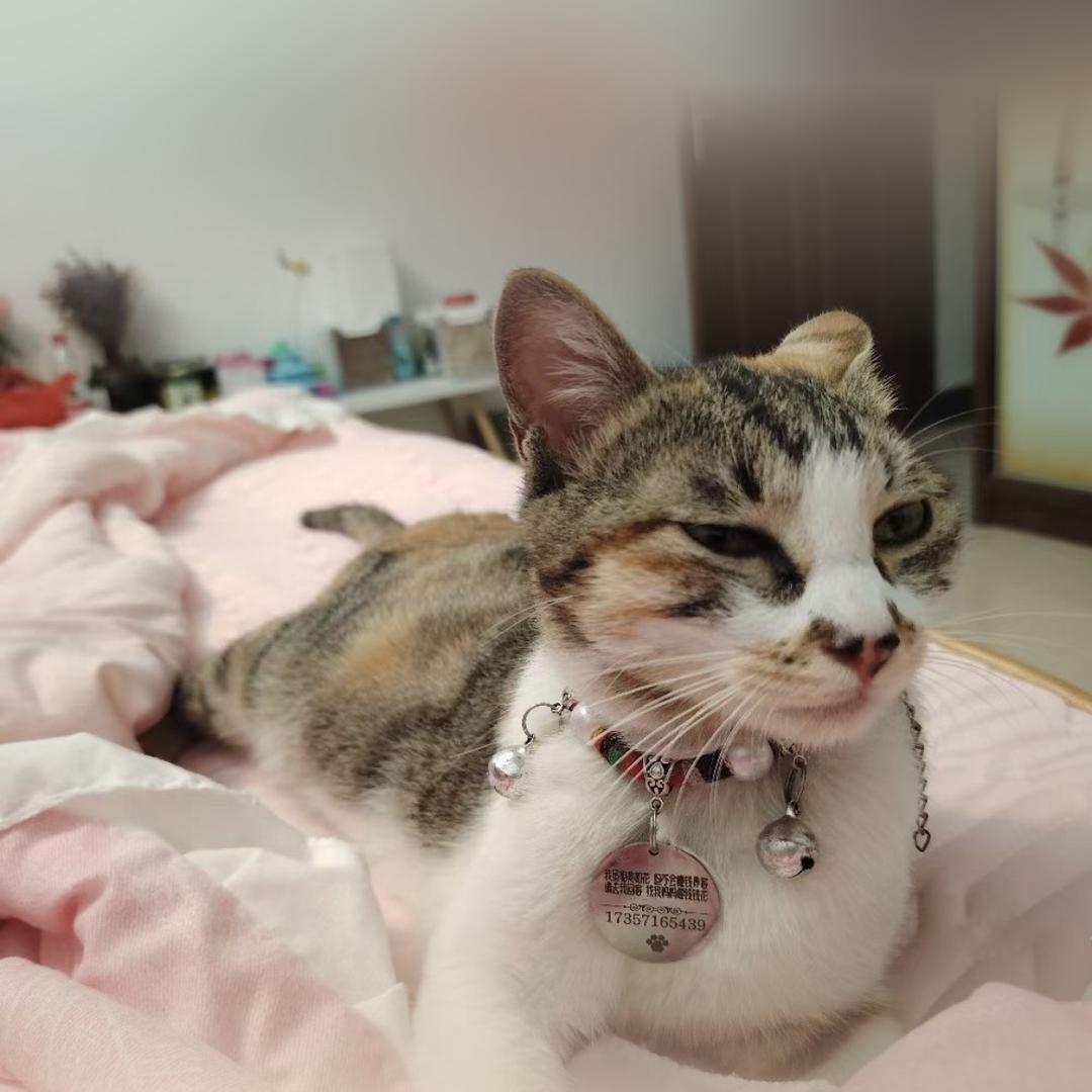 奔跑的蜗牛