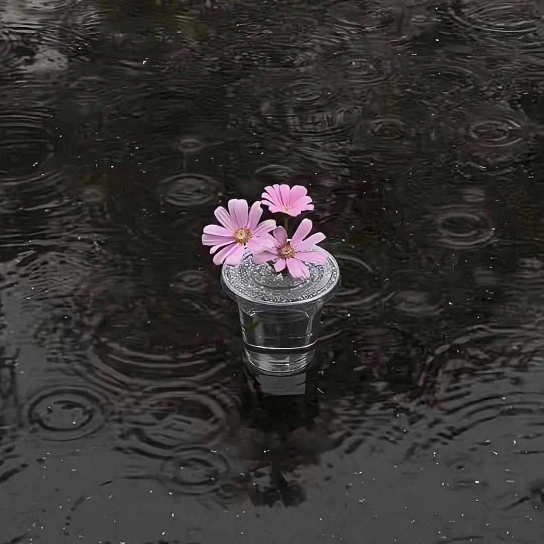 小小瓶鍾沙