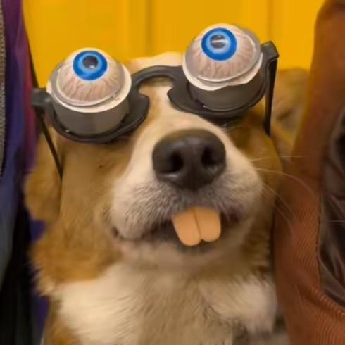 螺蛳粉加大炸蛋ޓ