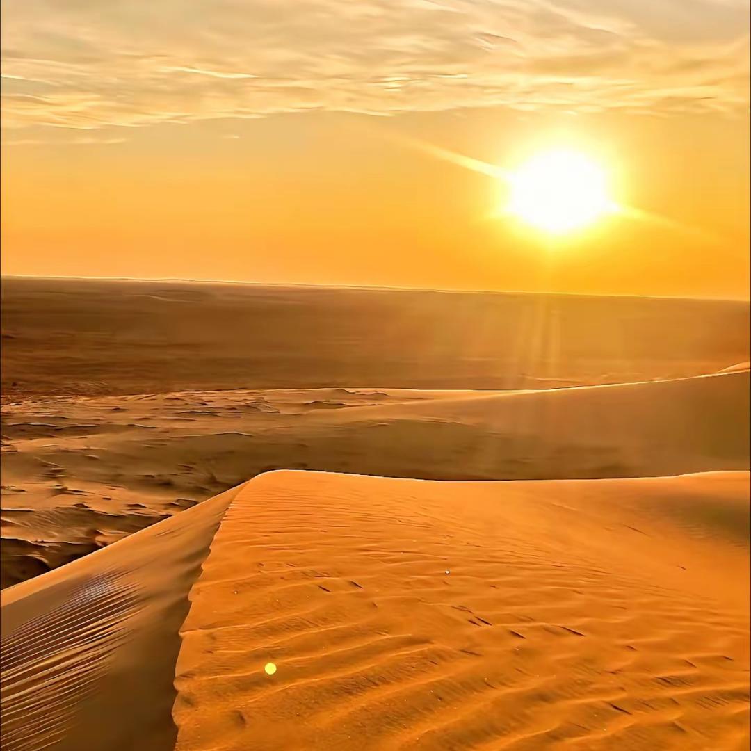 🔥金丝楠🔥王煜楷