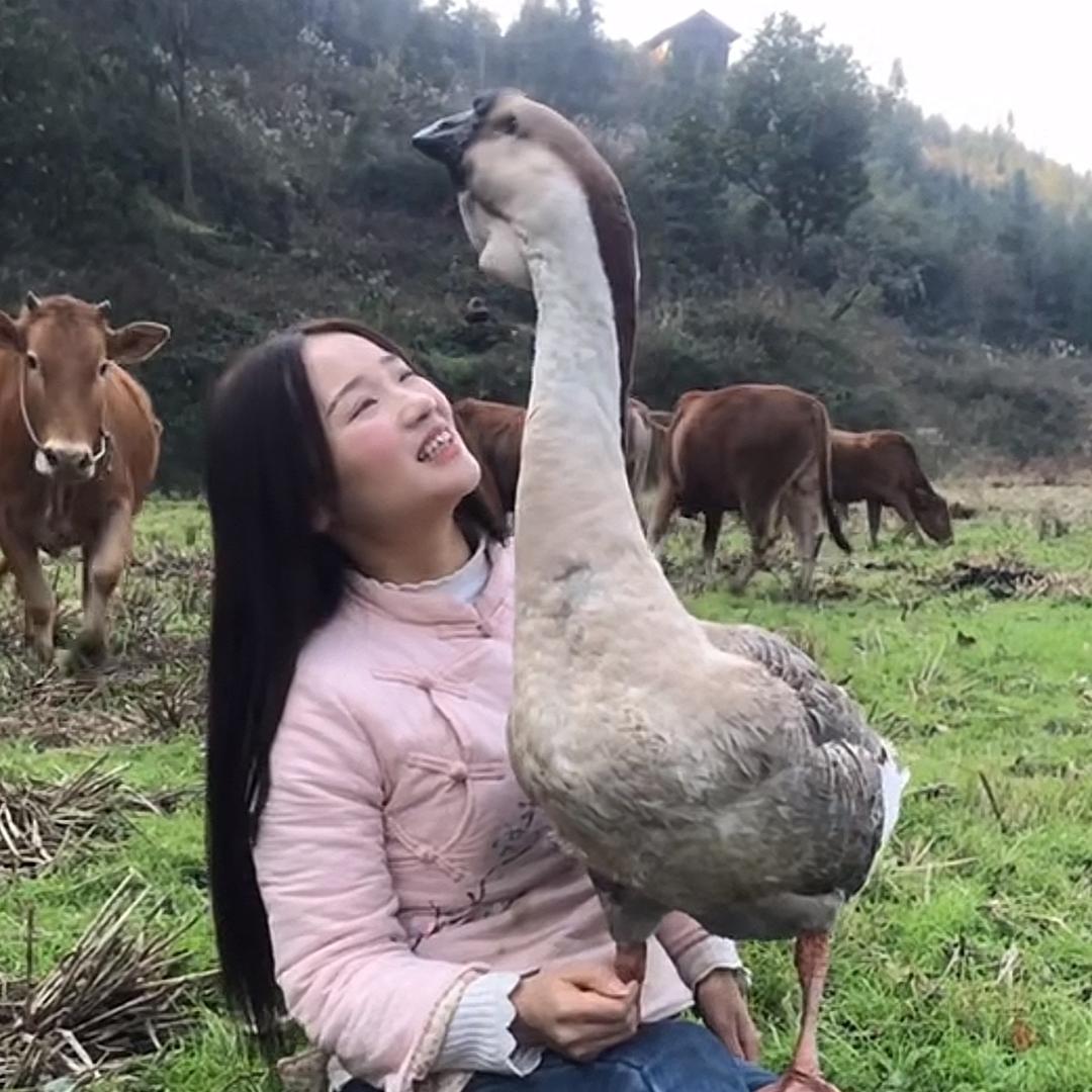 莲妹妹跟大鹅卖山货@抖音