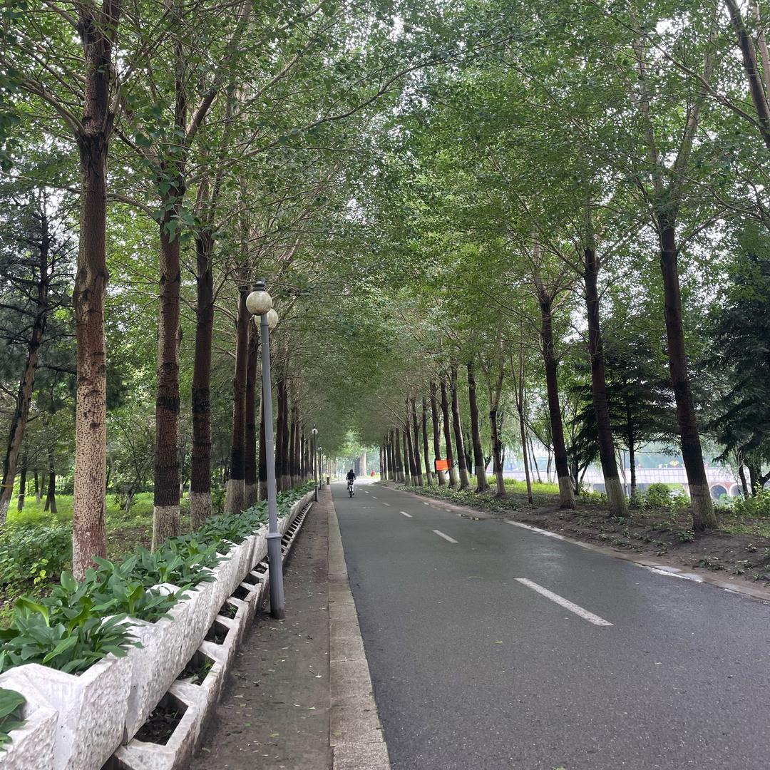 王小妞的杂货铺