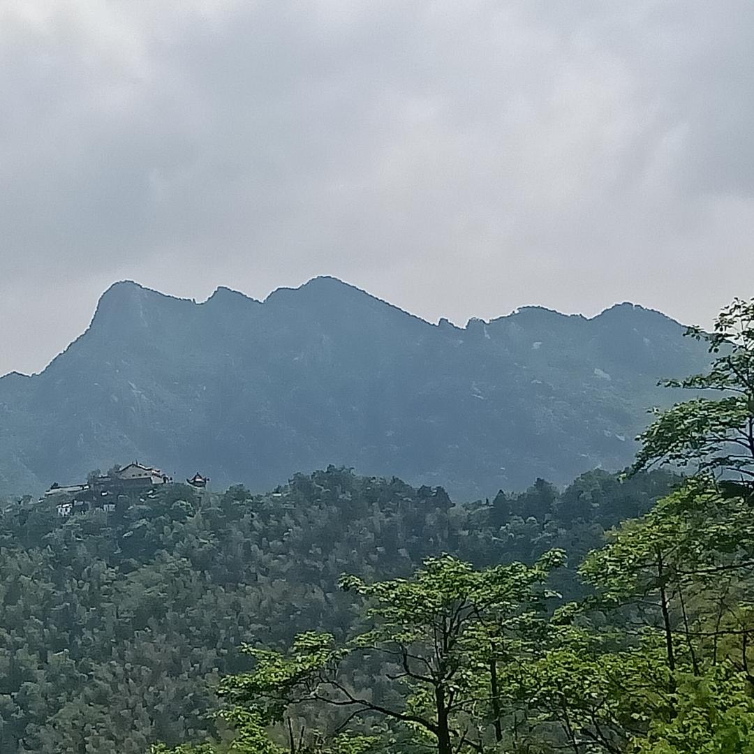 风雨同舟