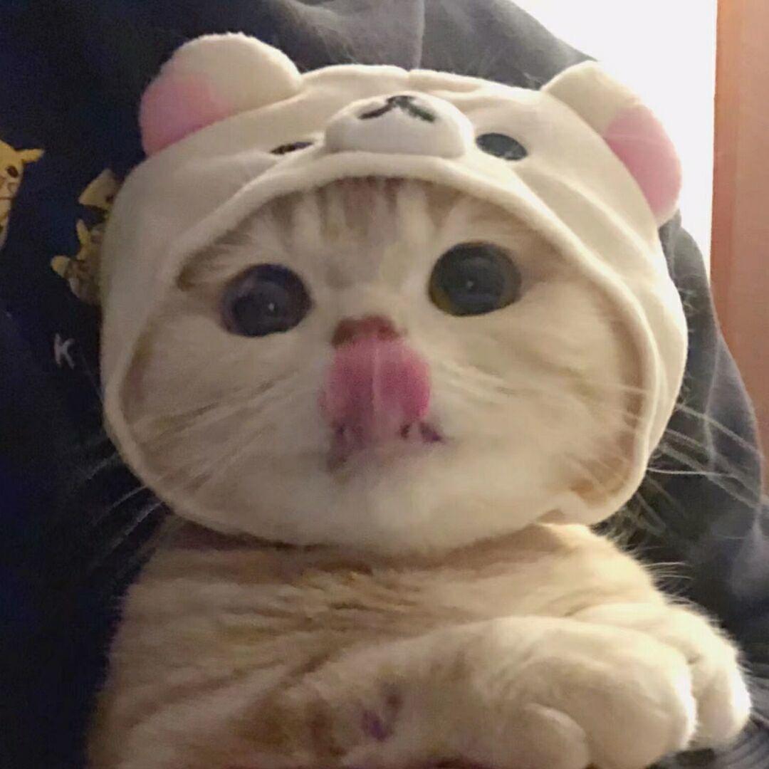 熙、