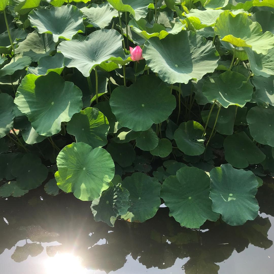 雪琴🌟星人生活