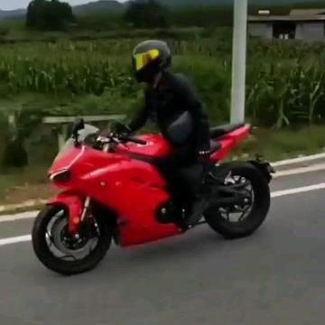 真探关关