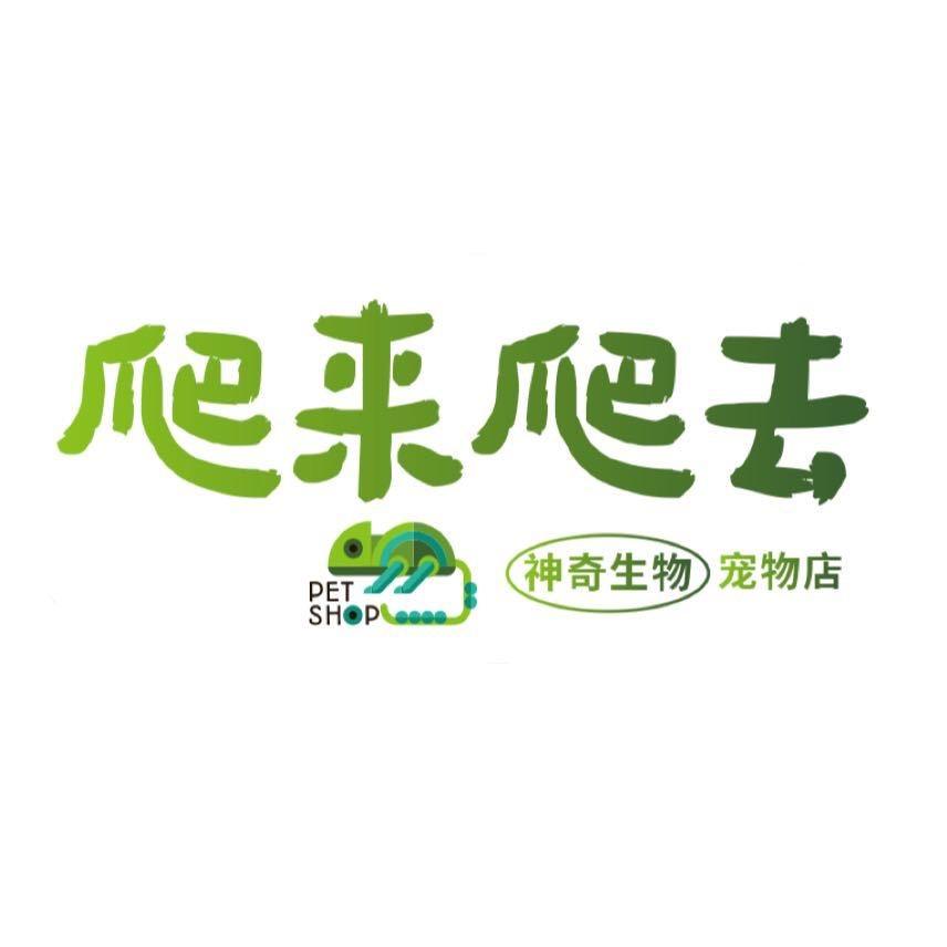象山爬来爬去爬宠馆