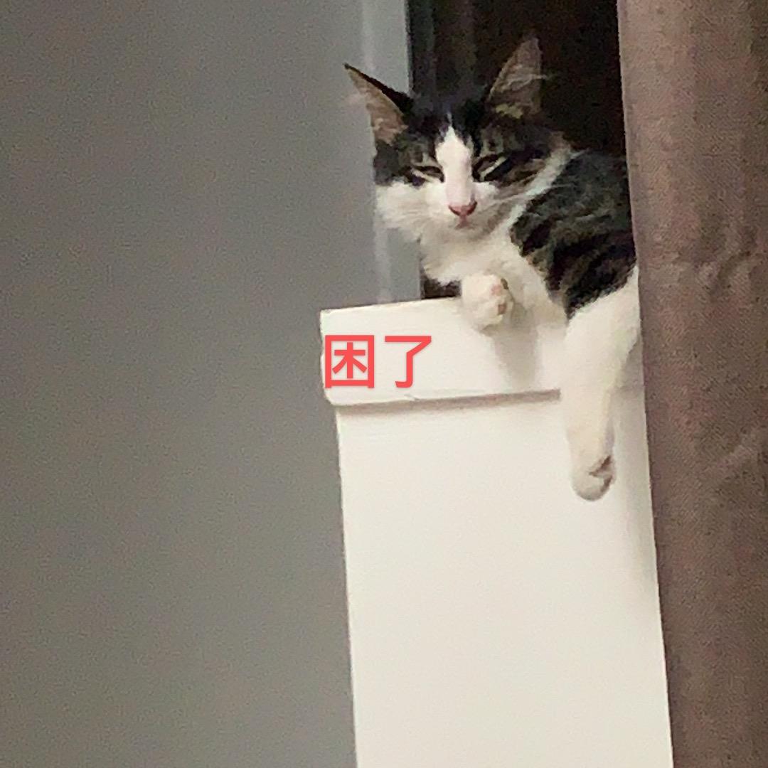 🧱小张
