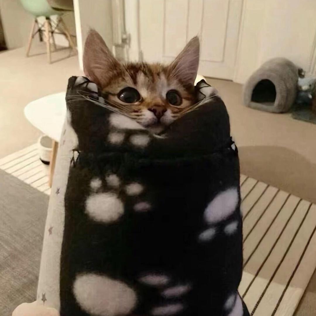 唉，我只是一颗比较懒的蛋