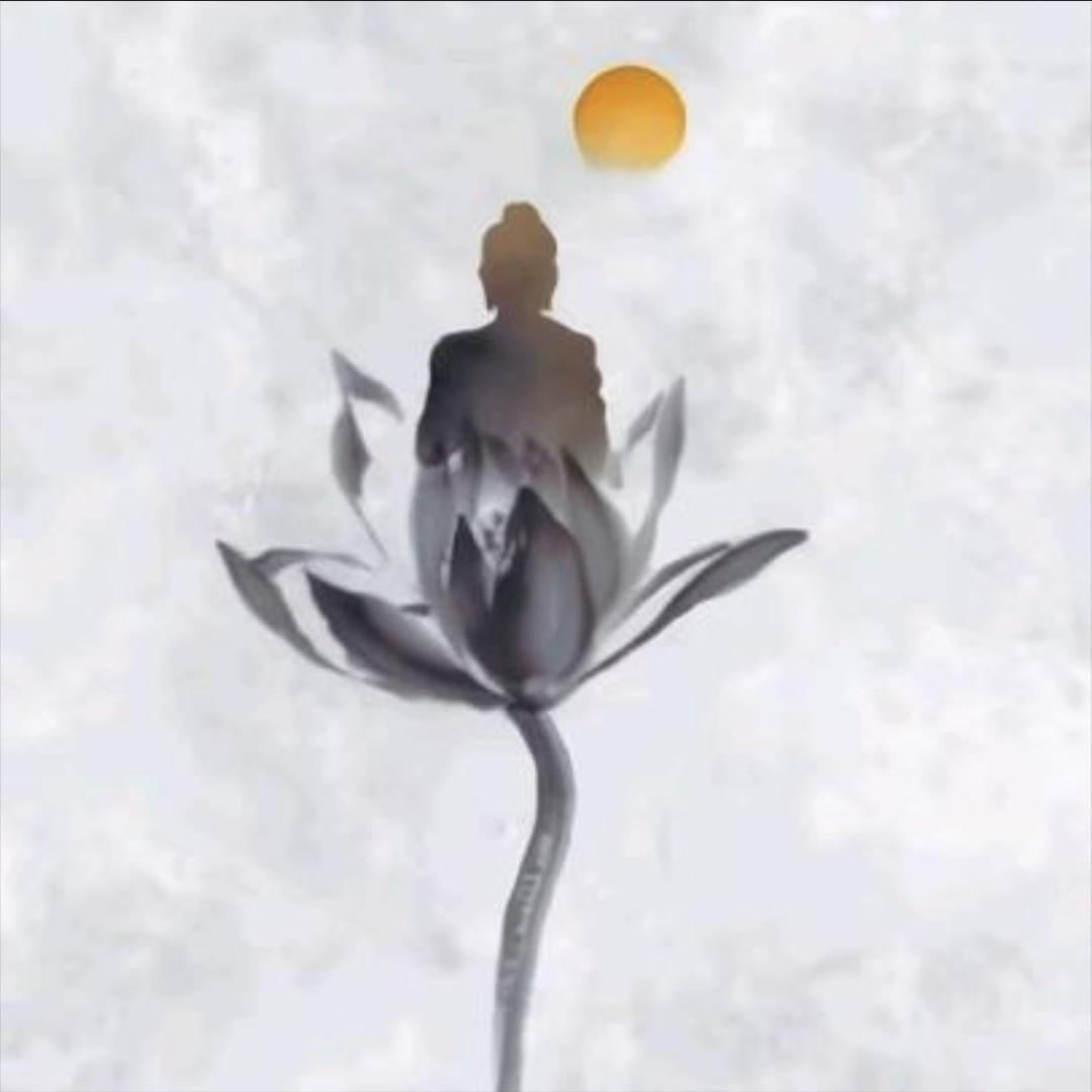 钧弦