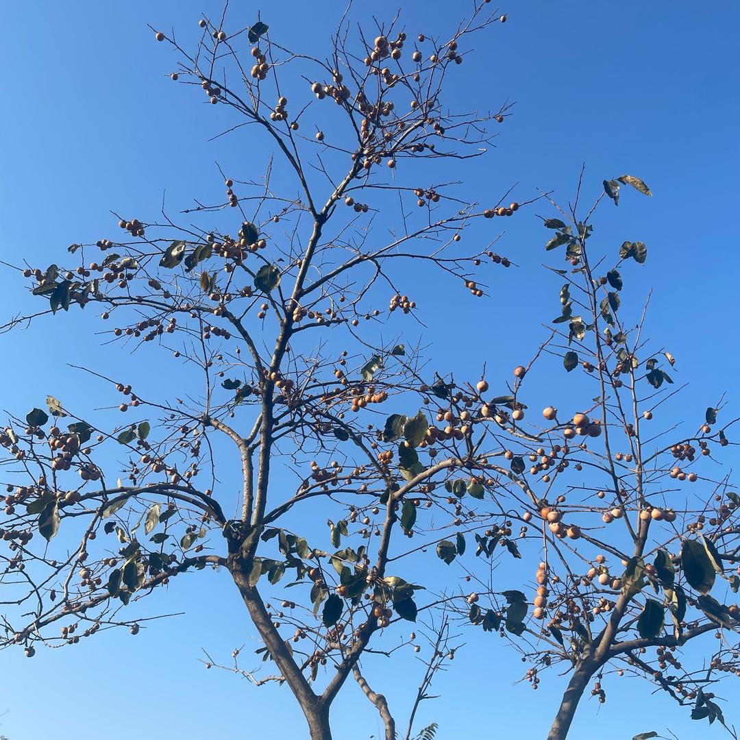 永远永远