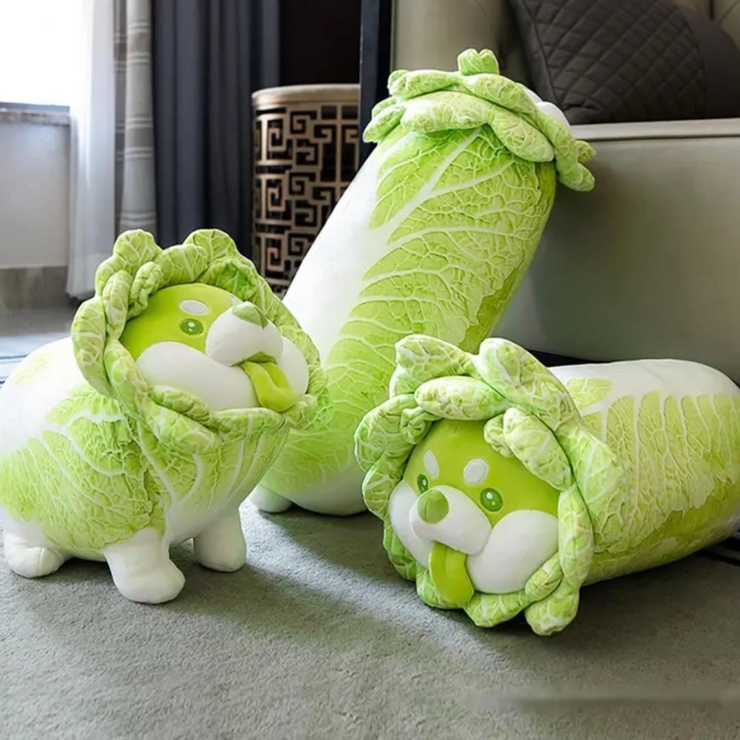 杨光果粒陈
