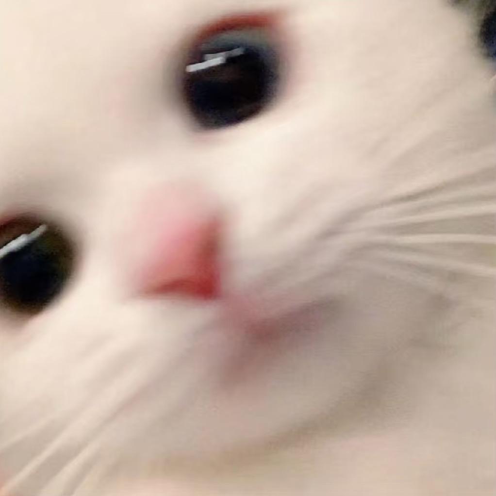 谁家小y