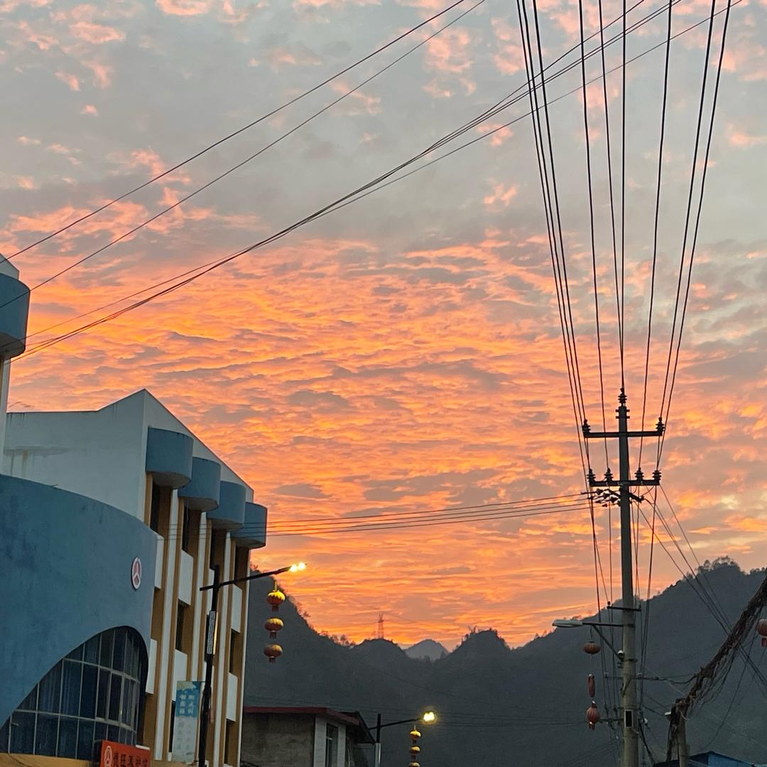 毛鱼鱼.