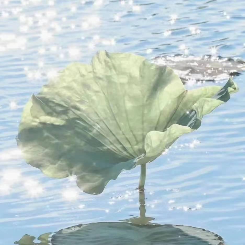 大坝管理员