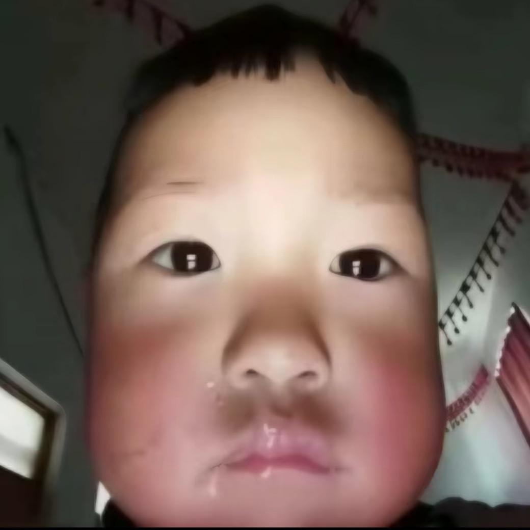 二蛋