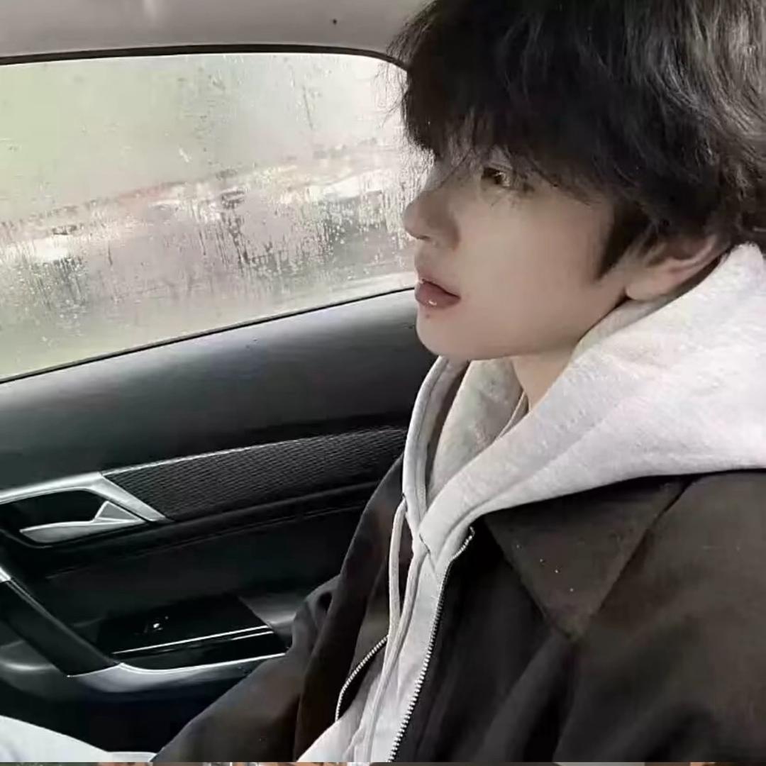 偏偏喜欢李.
